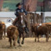Westernshow: la cowboy culture prende vita
