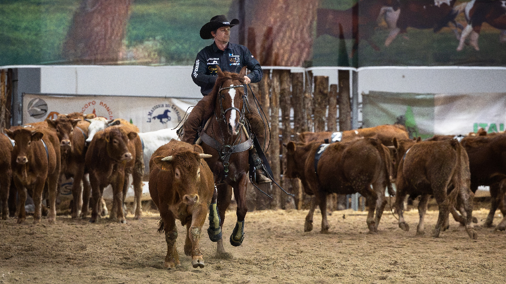 Fieracavalli 2025 Team Penning 1