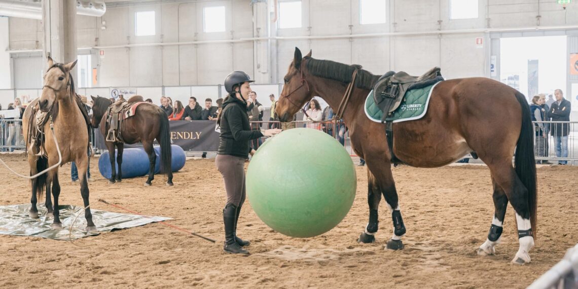 Fieracavalli 2026: conoscere il cavallo, costruire la relazione