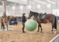 Fieracavalli 2026: conoscere il cavallo, costruire la relazione