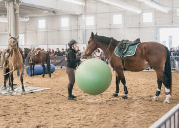 Fieracavalli 2026: conoscere il cavallo, costruire la relazione