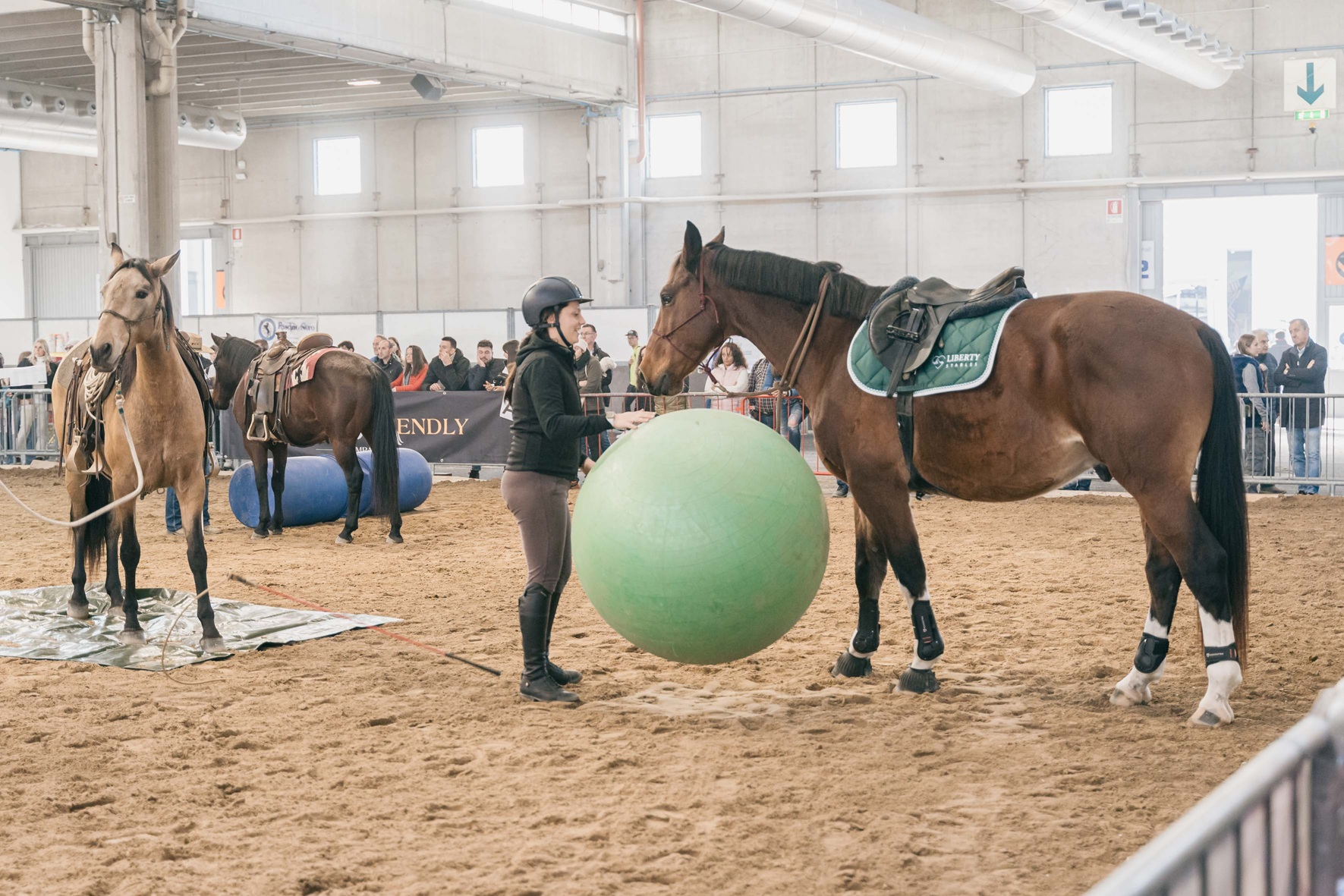Fieracavalli2023 EnneviFoto Veronafiere MM49225