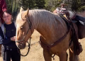 Sue, sette giorni perso nel cuore di Yellowstone