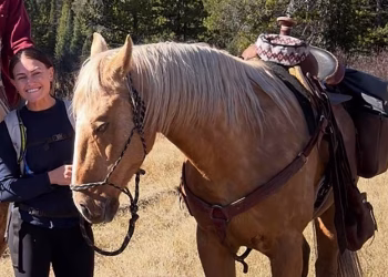 Sue, sette giorni perso nel cuore di Yellowstone