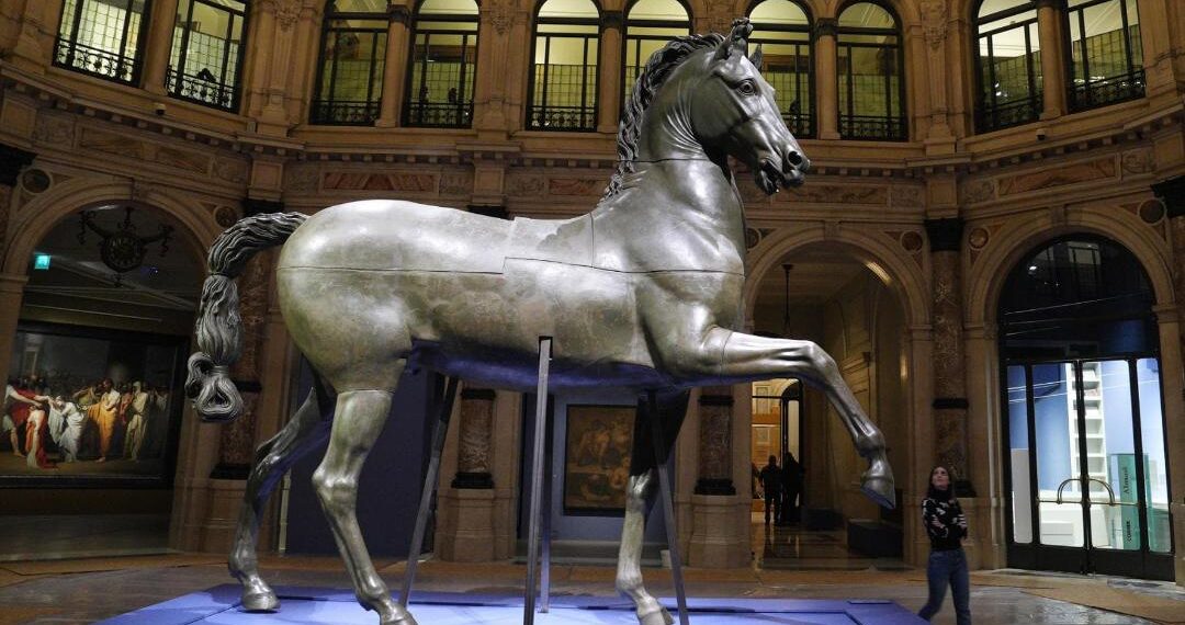 Il Cavallo colossale di Antonio Canova, monumentale modello in gesso restaurato, destinato al Museo Civico di Bassano del Grappa