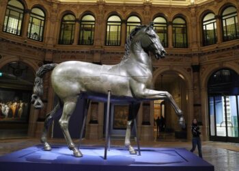 Il Cavallo colossale di Antonio Canova, monumentale modello in gesso restaurato, destinato al Museo Civico di Bassano del Grappa