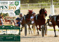 Al Sant’Artemio un weekend speciale tra grande trotto e open day per le famiglie
