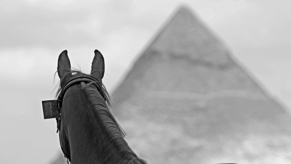 LGCT OK