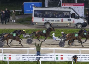 A San Siro domenica top di trotto con Il Gp  Delle Nazioni e l’Orsi Mangelli