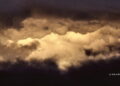 Allerta meteo su Oliva: gare cancellate