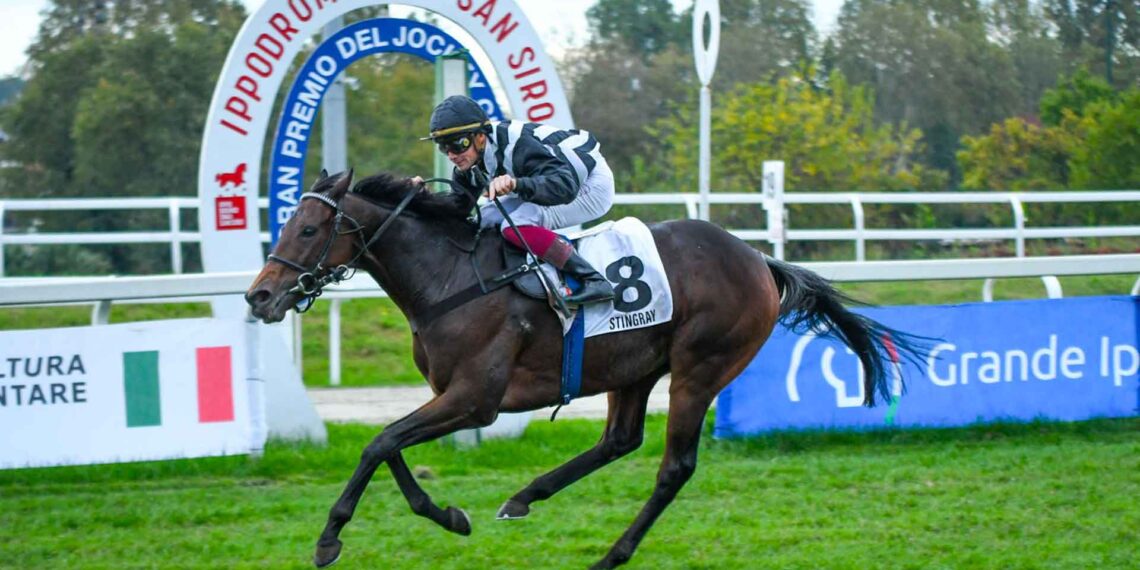 A  Milano, Stingray e Dario Di Tocco dominano la 104^ edizione del Jockey Club