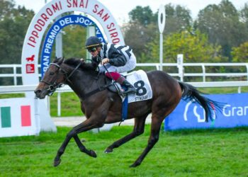 A  Milano, Stingray e Dario Di Tocco dominano la 104^ edizione del Jockey Club