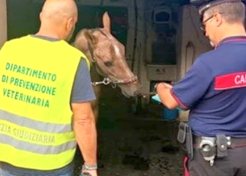 Altri due a San Cristoforo