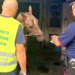 Altri due a San Cristoforo