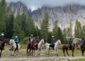 Cavalieri in sella a cavalli grigi e bai, fermi su un prato in quota, con montagne sullo sfondo.