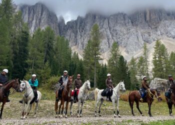 Cavalieri in sella a cavalli grigi e bai, fermi su un prato in quota, con montagne sullo sfondo.