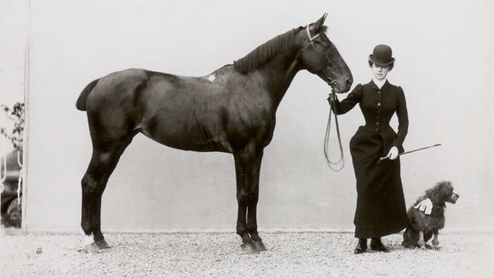 Woman with Horse and Miniature Poodle e1792751474649