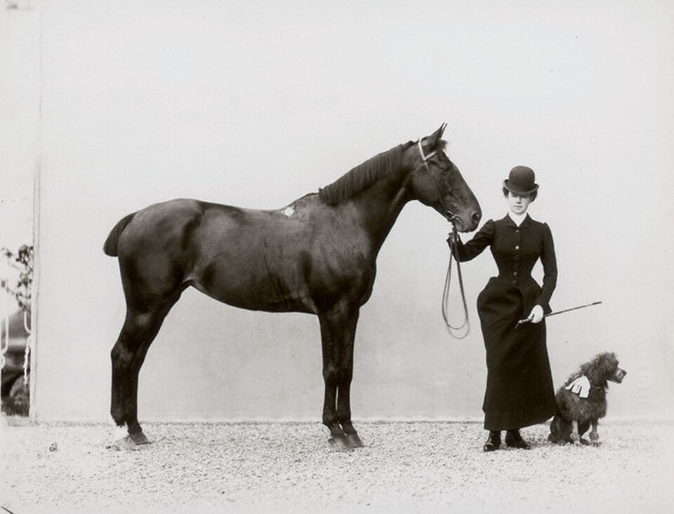 Woman with Horse and Miniature Poodle