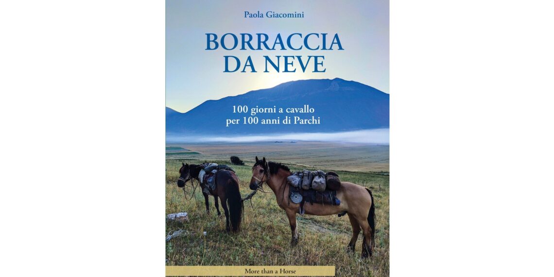 Copertina di Borraccia da neve di Paola Giacomini, con due cavalli equipaggiati da viaggio in un paesaggio montano