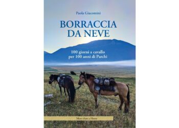 Copertina di Borraccia da neve di Paola Giacomini, con due cavalli equipaggiati da viaggio in un paesaggio montano