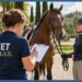 Cavallo atleta: a Fieracavalli il convegno sulla visita annuale di idoneità