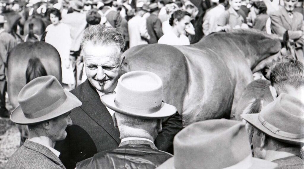 Hans Schwarz: viaggi a cavallo e impegno civile