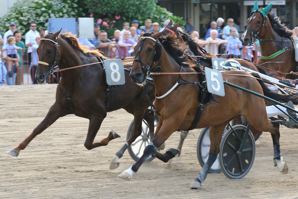 ippodromo bologna tinarelli repertorio