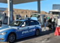 Caltanissetta, fiori e piante sulla licenza, ma nel camion viaggiavano quattro cavalli